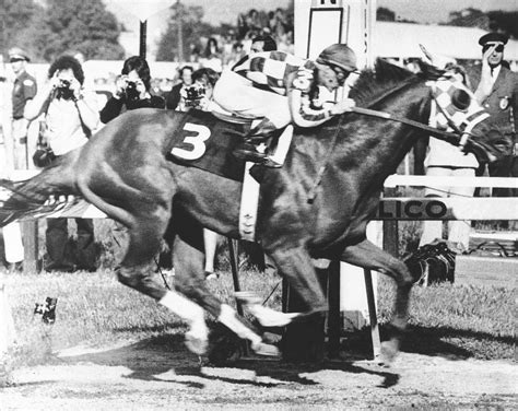 preakness record time holder|Secretariat's 1973 Triple Crown saw record times in .